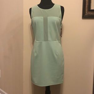 Brand new mint sheer paneled dress